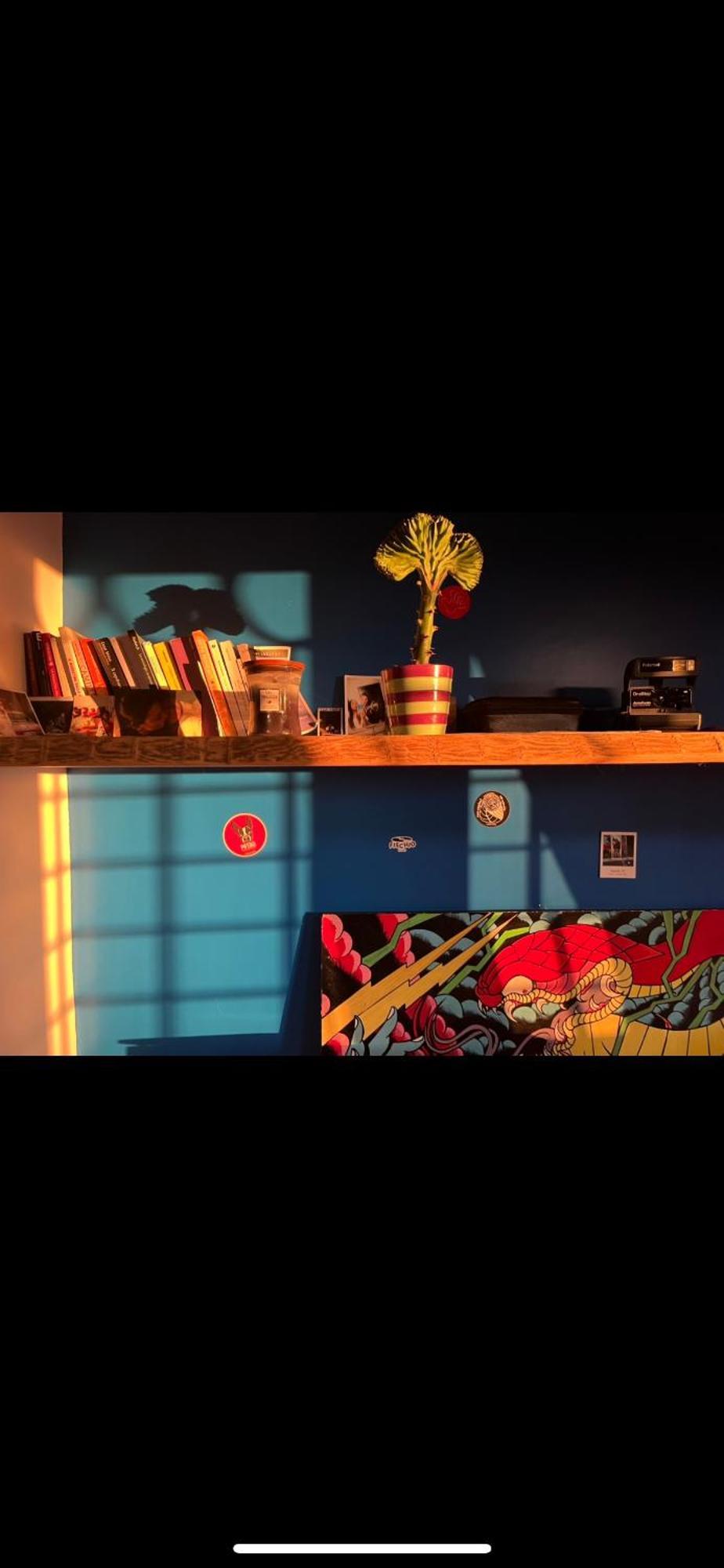 Casa Divertente A Lejlighed *